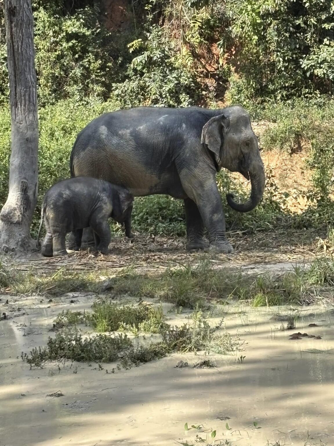 The Best Remote Work Gear For Digital Nomads In 2025 Amazon Essentials